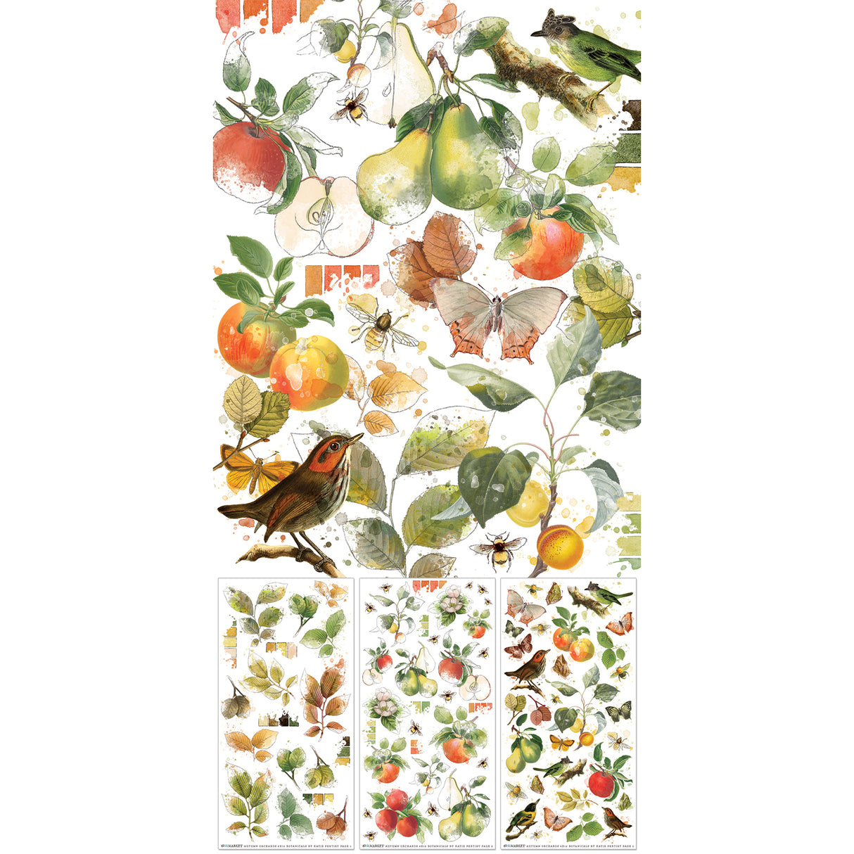 Juego de transferencias para frotar con diseño botánico Vintage Orchard