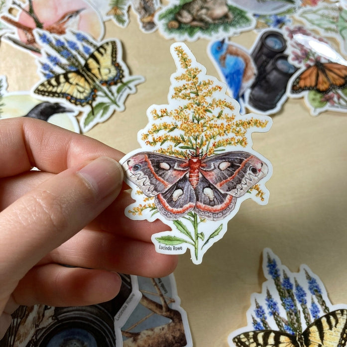 Pegatina de vinilo de polilla cecropia sobre vara de oro