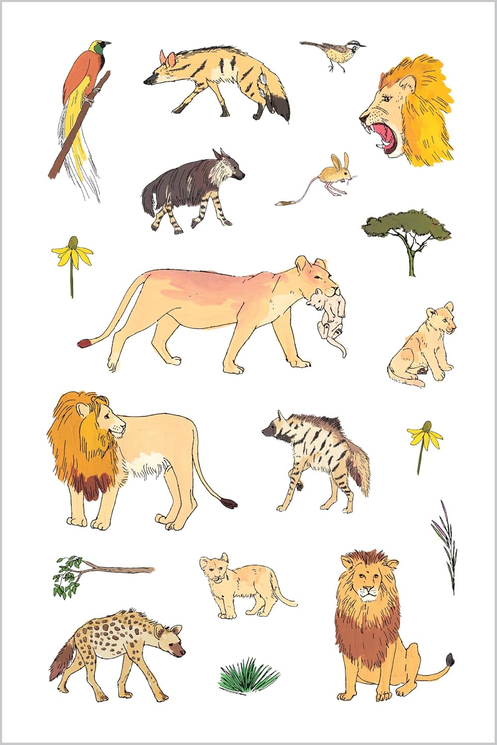 Wildlife Anatomy Sticker Book
Julia Rothman's Wildlife Anatomy illustrations are featured in this collection of more than 500 stickers, including amazing mammals, birds, amphibians, and insects from around the world. Beloved illustrator Julia Rothman's playful art of wild animals from around the world, first presented in her book Wildlife Anatomy, is featured on 500 colorful stickers, perfect for decorating surfaces and using in craft and collage projects. From the armadillo to the aye-aye, the ocelot to t