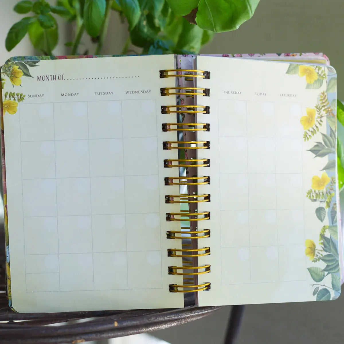 Full Of Wonder Undated Planner