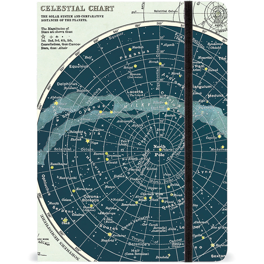 Cuaderno grande celeste Cavallini & Co.