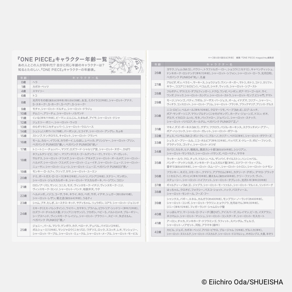 Hobonichi Techo 2027 Japanese Original Book - One Piece Edition