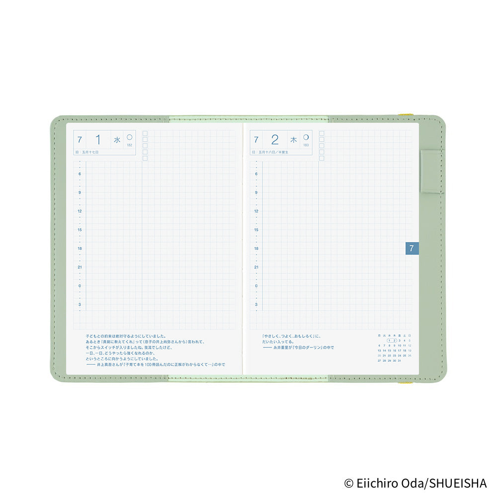 Hobonichi Techo A6 Cover - ONE PIECE magazine End of Luffy’s Dream (Mint Green)