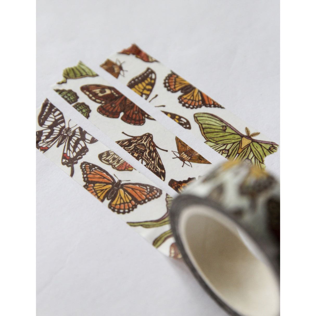 Butterfly and Moth Washi Tape by Root & Branch Paper Co