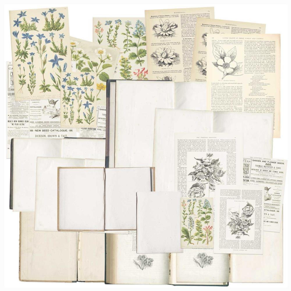 Curators Essential Bookplates 49 and Market