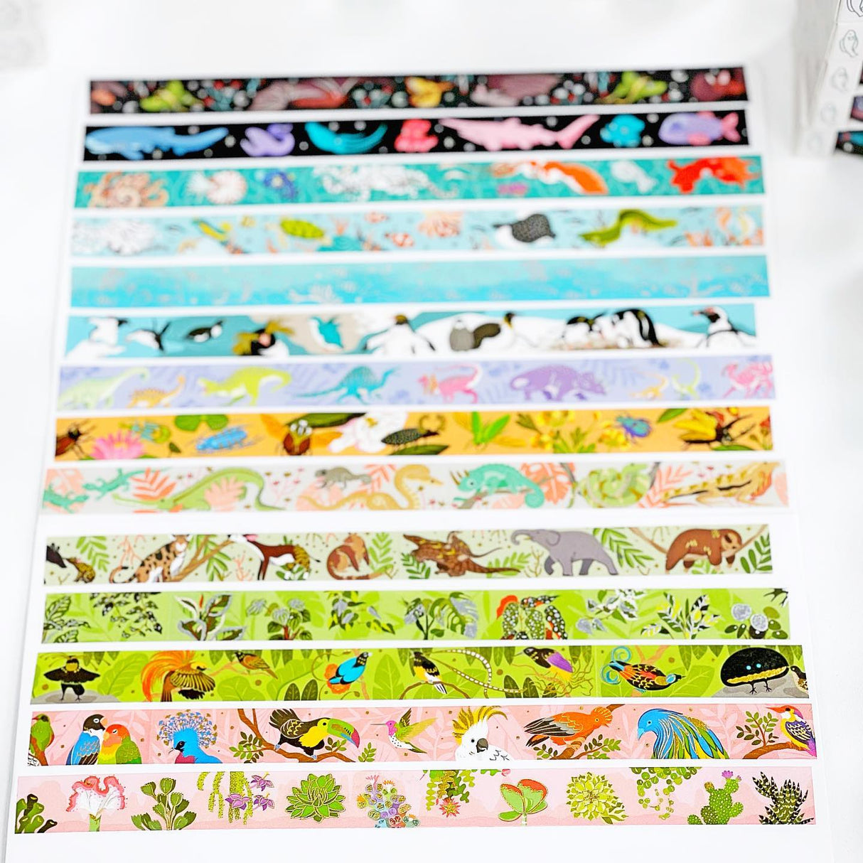 Shoal - Beetle Washi Tape