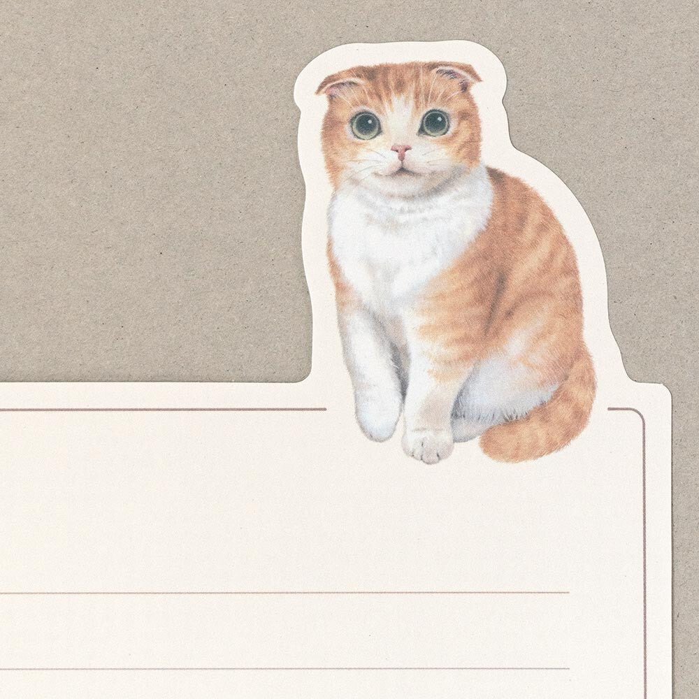 Juego de mini letras VILLE et Minou Filou
