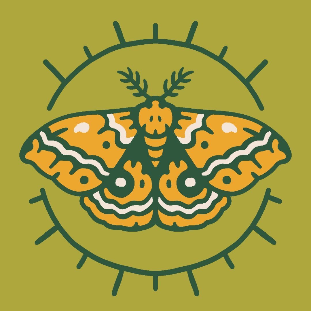 Mustard Beetle