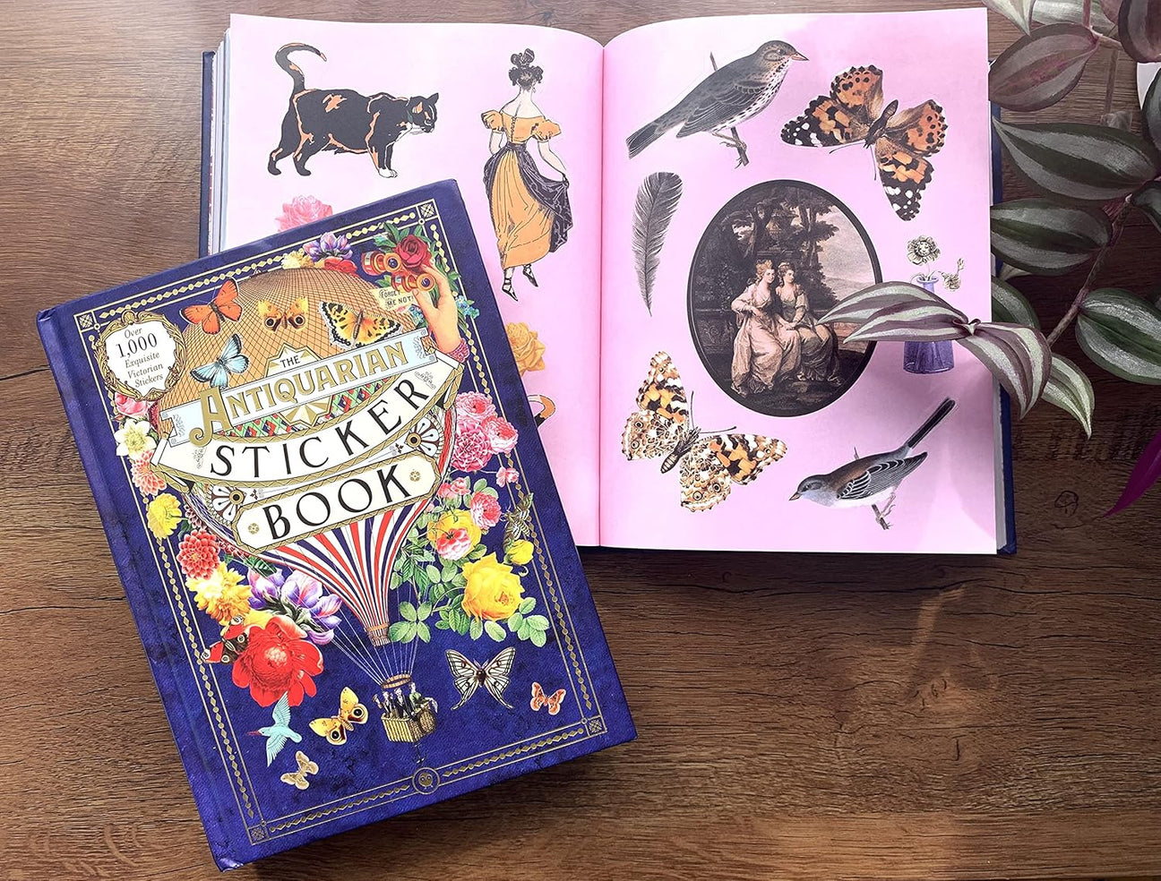 Sticker Books