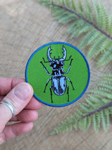 Stag Beetle Patch