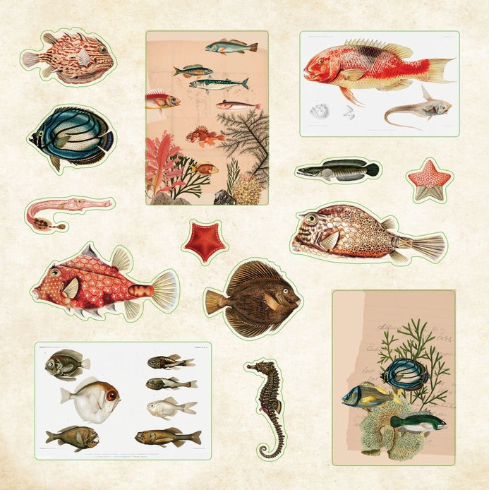 Poseidon's Kingdom Sticker Book (700+ stickers)