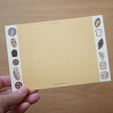 4legs Postcard - Cat in Picture Book #19 Tabby
