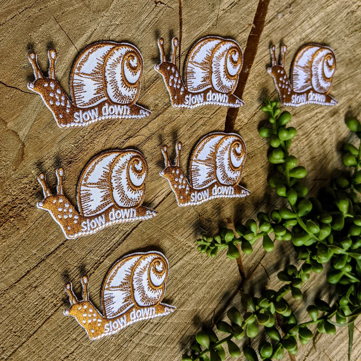 Slow Down Snail Patch