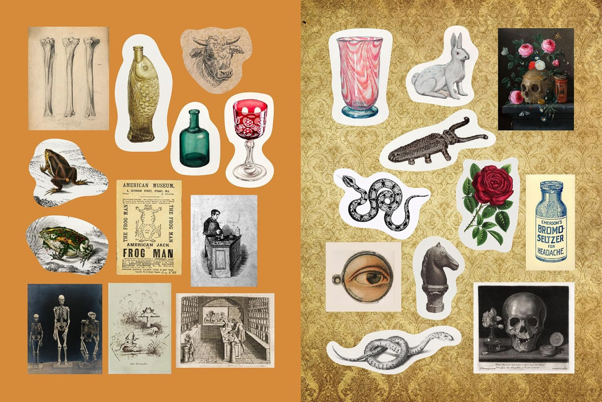 Brew up a world of wonder! With 500+ stickers and 50+ coloring and activity pages, explore the shelves of an old-world apothecary filled with remedies, recipes, and rare treasures.

Apothecaries, Remedies & Rarities Sticker, Color & Activity Book includes everything you need to spark your inner herbalist. From vintage potion bottles and pressed flowers, to celestial diagrams and mysterious labels, its pages capture the timeless charm of plant-based traditions and old-world curiosity.

Inside, you’ll find:

