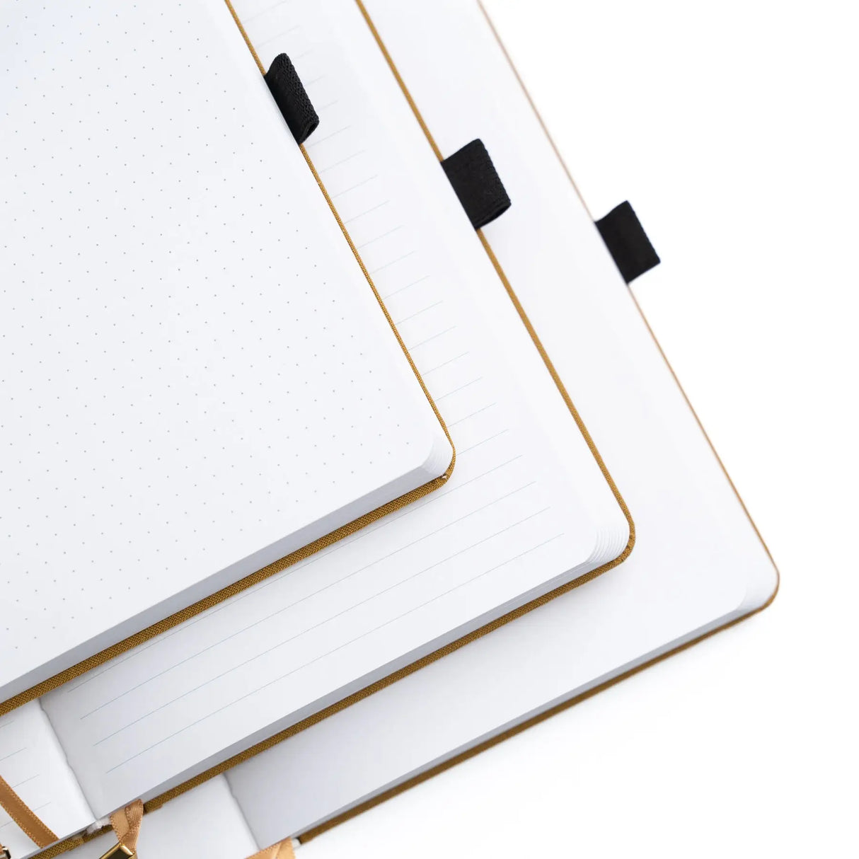 Archer and Olive Notebook: Harvest Moon