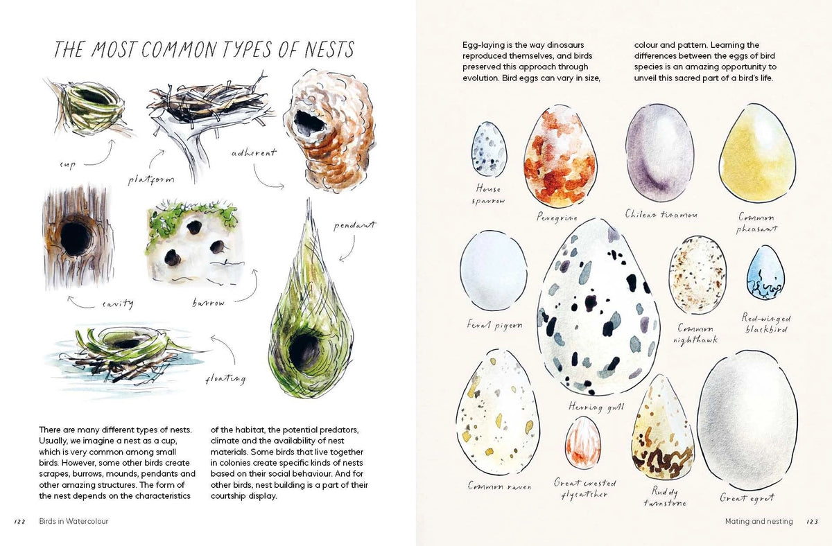 Birds in Watercolour: A Beginner's Guide to Drawing and Painting Birds

Discover the joy of drawing and painting birds with this inspiring, accessible guide for bird lovers, budding artists and nature journalers.