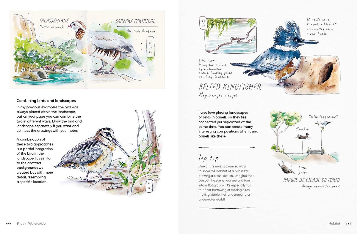 Birds in Watercolour: A Beginner's Guide to Drawing and Painting Birds

Discover the joy of drawing and painting birds with this inspiring, accessible guide for bird lovers, budding artists and nature journalers.