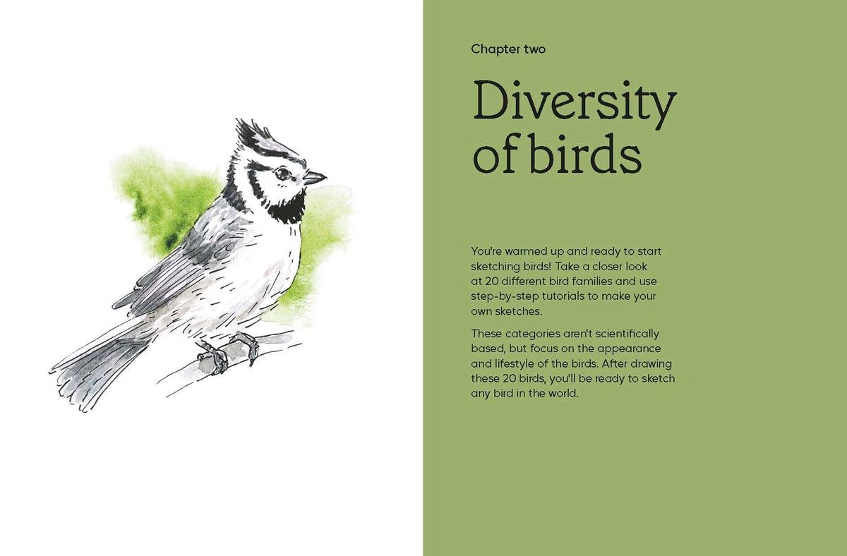 Birds in Watercolour: A Beginner's Guide to Drawing and Painting Birds

Discover the joy of drawing and painting birds with this inspiring, accessible guide for bird lovers, budding artists and nature journalers.