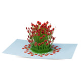 Tarjeta desplegable Amapolas en flor