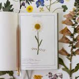 Hand-illustrated luxurious undated planner&nbsp;

Size: 6.25"x 8.5" x 0.75"

&nbsp;Lay-flat binding
Cover printed in full color and gold foil stamped
Matte gold foil-gilded edges ~ Full-color Book linen cloth
Illustrated inner pages
2 satin bookmarks
120 gsm natural white interior pages
Back pocket
Undated with room for 12 months
Birthdays and Special events spread
Monthly view located at the start of each month.
Weekly view
Notes pages