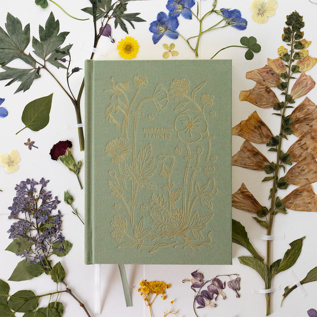 Hand-illustrated luxurious undated planner&nbsp;

Size: 6.25"x 8.5" x 0.75"

&nbsp;Lay-flat binding
Cover printed in full color and gold foil stamped
Matte gold foil-gilded edges ~ Full-color Book linen cloth
Illustrated inner pages
2 satin bookmarks
120 gsm natural white interior pages
Back pocket
Undated with room for 12 months
Birthdays and Special events spread
Monthly view located at the start of each month.
Weekly view
Notes pages