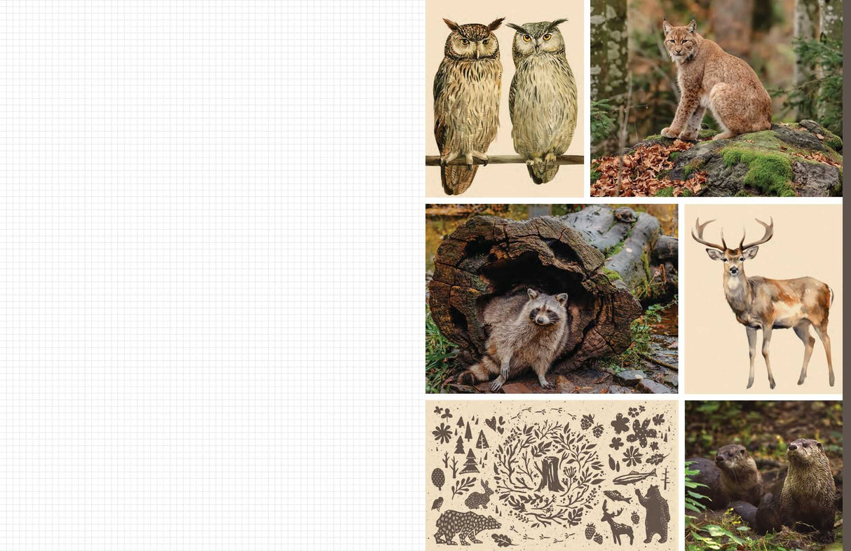 Celebrate the natural beauty of the forest and all the amazing creatures that call it home with vibrant, full-color images ready for you to add to collages, vision boards, scrapbooks, greeting cards, and more. From photographs of wide-eyed owls and bushy-tailed squirrels to botanical illustrations and inspirational quotes, Cut &amp; Collage Woodland Creatures captures the biodiversity and magic of the forest, adding endless possibilities to all of your crafting projects. The only limit is your imagination.
