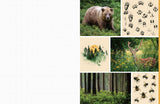 Celebrate the natural beauty of the forest and all the amazing creatures that call it home with vibrant, full-color images ready for you to add to collages, vision boards, scrapbooks, greeting cards, and more. From photographs of wide-eyed owls and bushy-tailed squirrels to botanical illustrations and inspirational quotes, Cut &amp; Collage Woodland Creatures captures the biodiversity and magic of the forest, adding endless possibilities to all of your crafting projects. The only limit is your imagination.
