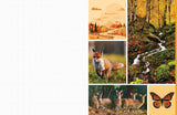 Celebrate the natural beauty of the forest and all the amazing creatures that call it home with vibrant, full-color images ready for you to add to collages, vision boards, scrapbooks, greeting cards, and more. From photographs of wide-eyed owls and bushy-tailed squirrels to botanical illustrations and inspirational quotes, Cut &amp; Collage Woodland Creatures captures the biodiversity and magic of the forest, adding endless possibilities to all of your crafting projects. The only limit is your imagination.

