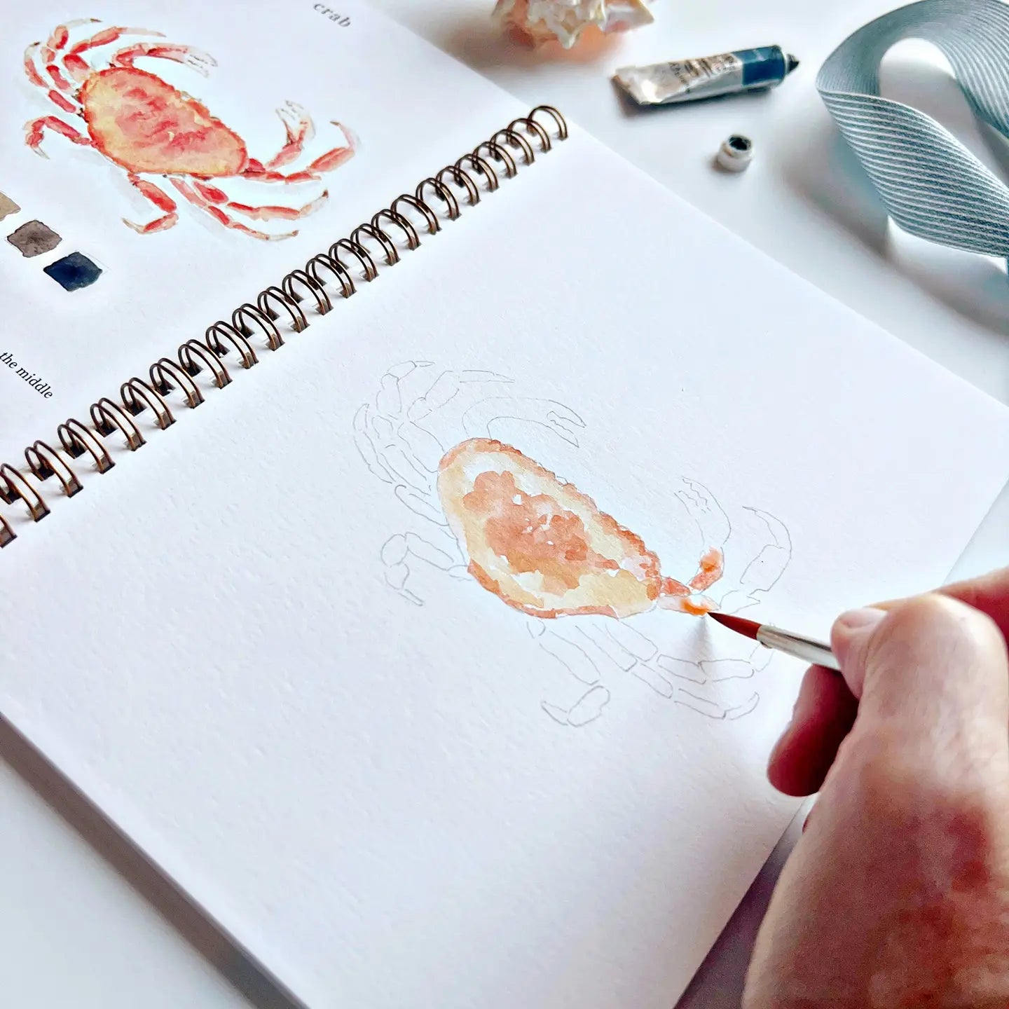 Emily Lex Studio - Seaside Watercolor Workbook