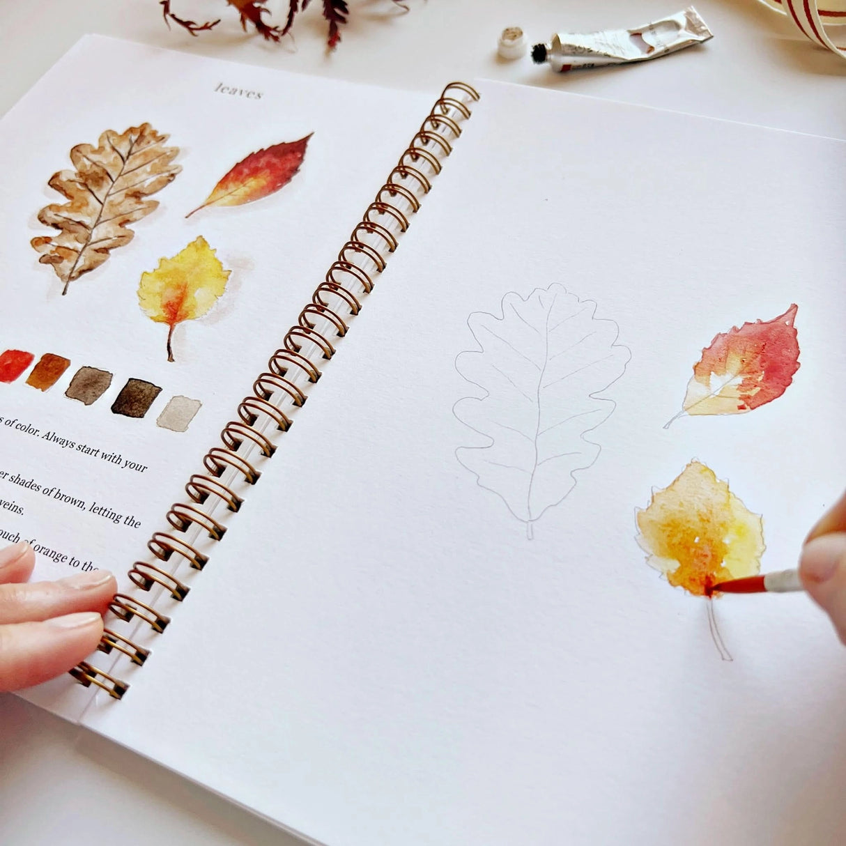 Twelve autumn illustrations — a pumpkin, squirrel, fall leaves, vintage truck, mum bouquet, fall wreath, and more — each pre-outlined with step-by-step instructions. Paintings take about thirty minutes from start to finish, making it approachable for first-time painters and a favorite for gifting.

12 beginner-friendly illustrations
Thick 120lb watercolor paper&nbsp;
Lay-flat pages with spiral binding for hassle-free painting and easy tear-out&nbsp;
Lightly outlined sketches to guide you&nbsp;
Easy to carry