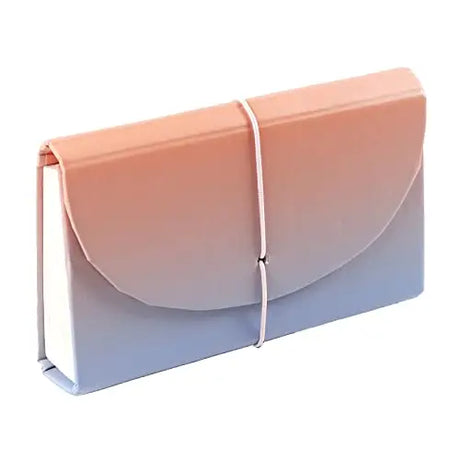 Erin Condren Budget Accordion File