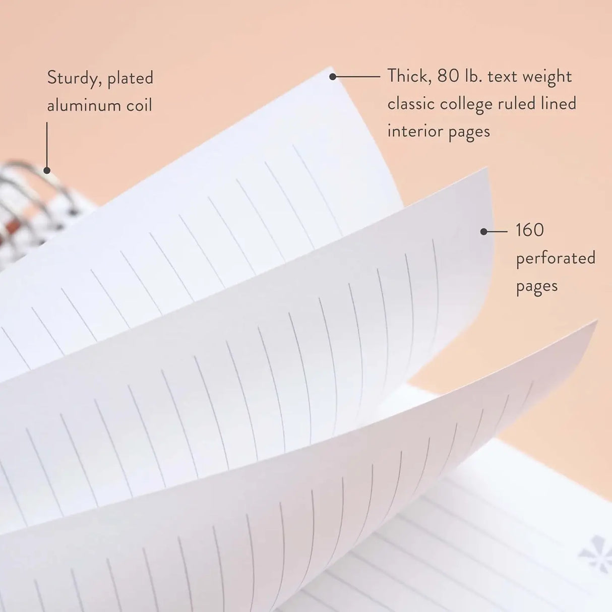 Erin Condren Lined Notebook EX