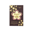 Inspired by the blossoms found throughout Cindy Duong's Sakura Street illustrations, this oversized hard enamel pin features a sakura flower outlined in gold-plated metal. The 5 cm design includes Esterbrook and Sakuradragon branding at its center, creating a collectible emblem of the collaboration.