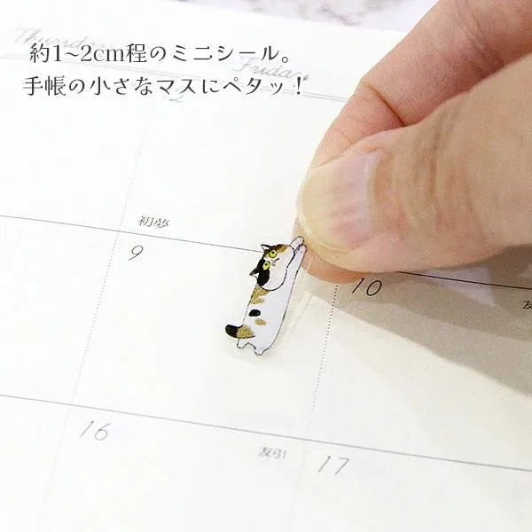 Exotic Shorthair Sticker Sheet

This is a small size transparent material sticker that is easy to decorate in planners or journals. It contains two identical illustrations, so you can use it for preservation, matching, or sharing.

Sheet size: Length 150× Width 90mm
Includes 1 sticker sheet
