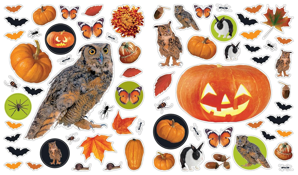 Eyelike Stickers: Halloween Sticker Book