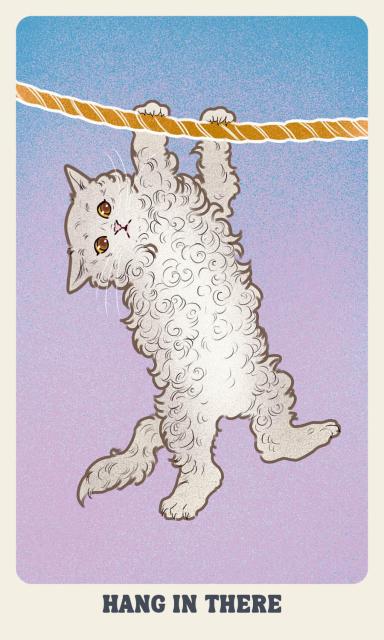 Tap into the wisdom of the feline spirit with this deluxe oracle deck and guidebook from author of Amenti Oracle Jennifer Sodini and artist Amelia Rose. Feline Mystique delves into the enchanting world of cats, exploring their roles in folklore, myth, and pop culture through the unique personalities and enigmatic qualities of different breeds.