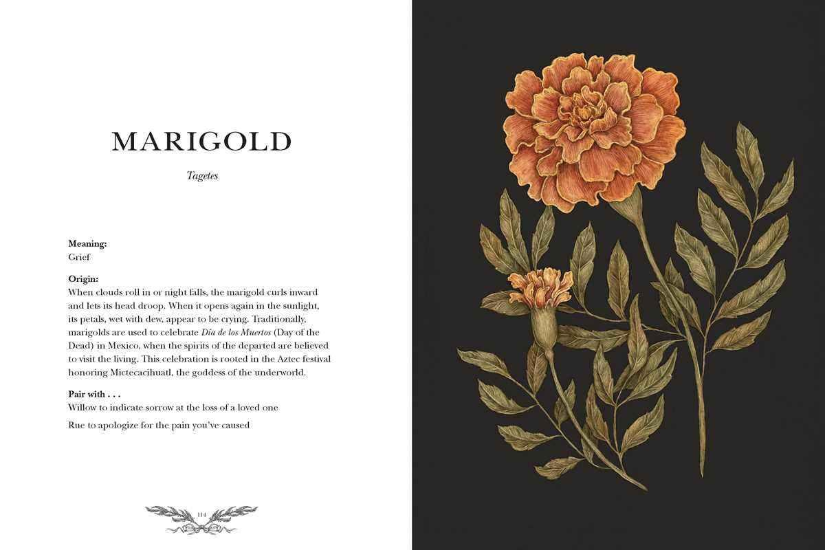 Floriography By Jessica Roux