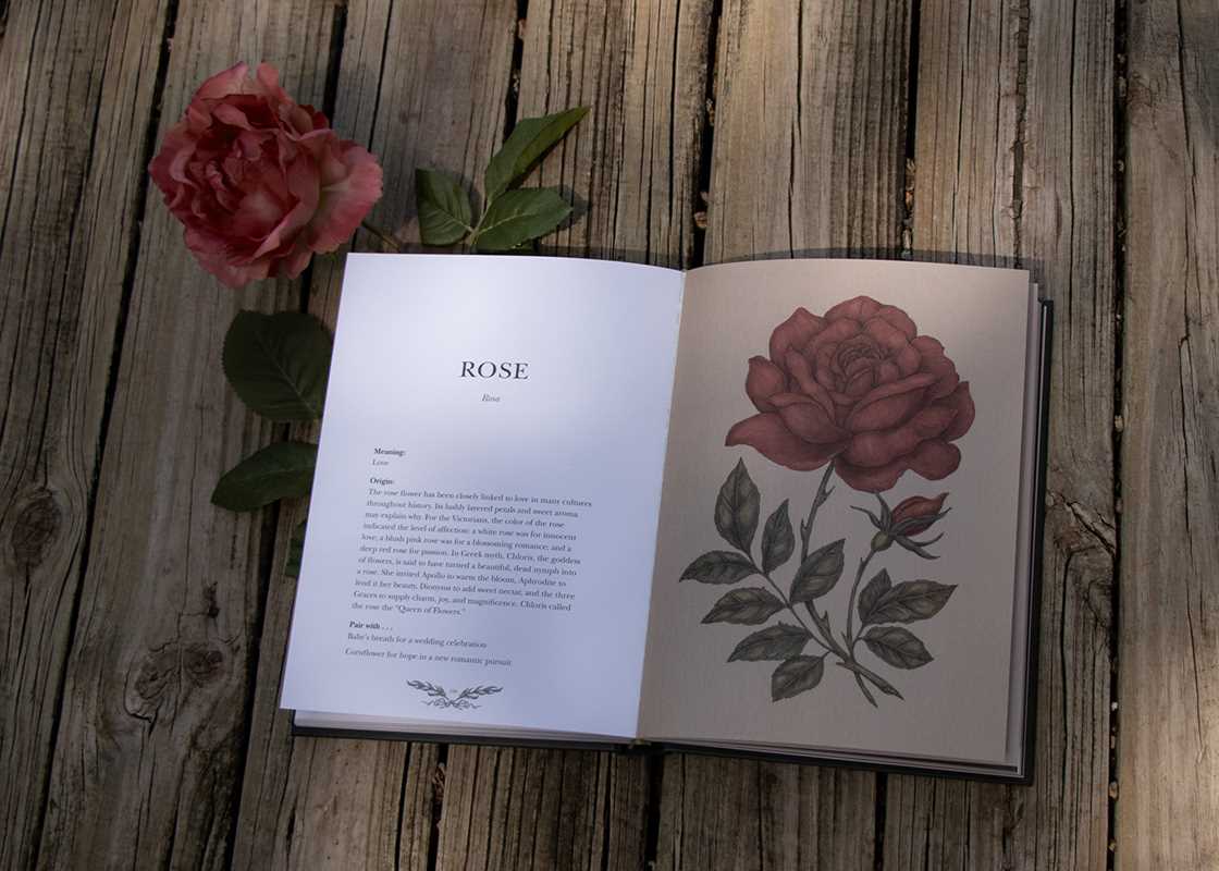 Floriography By Jessica Roux