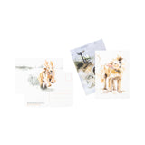 25 postcards featuring artwork from The Book of Dog Poems illustrated by Sarah Maycock. Features the canine companions inspired by the poems of William Wordsworth, Rudyard Kipling, Emily Dickinson and Thomas Hardy among others, alongside short quotations from the works on the back. Beautifully packaged in a paperback case. Each card has space on the back for your personal message.