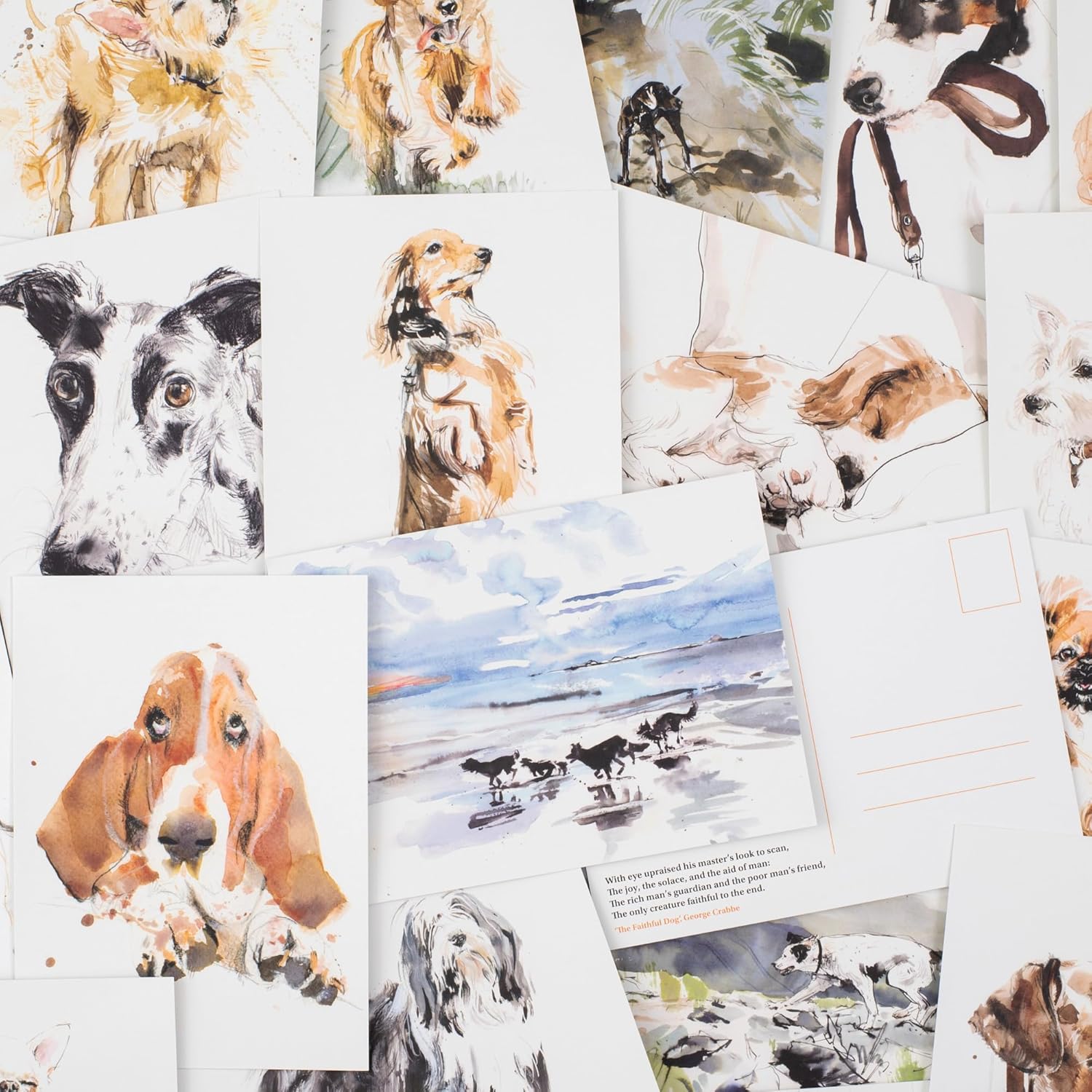 25 postcards featuring artwork from The Book of Dog Poems illustrated by Sarah Maycock. Features the canine companions inspired by the poems of William Wordsworth, Rudyard Kipling, Emily Dickinson and Thomas Hardy among others, alongside short quotations from the works on the back. Beautifully packaged in a paperback case. Each card has space on the back for your personal message.