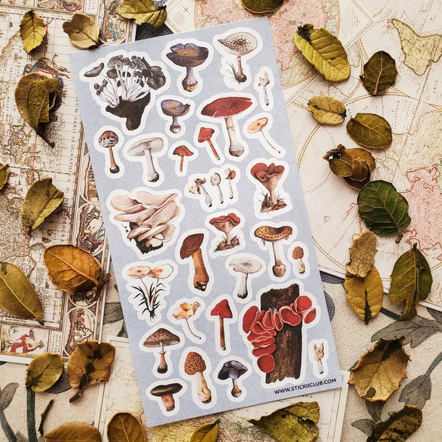 🍄🌿 Wander into a woodland where every fallen log, mossy hollow, and shaded forest floor hides a tiny treasure. From oyster clusters and scarlet caps to intricate morels and velvety violets, this vintage-inspired set celebrates mushrooms as a lovely gathering of curious specimens for anyone enchanted by the wild, mysterious world of the forest floor.

One sticker sheet is included.
Top Coating: None
Adhesive Layer: Paper
Backing Layer: Clear PET
Size: 6.69"x3.54"
Weight-0.03oz