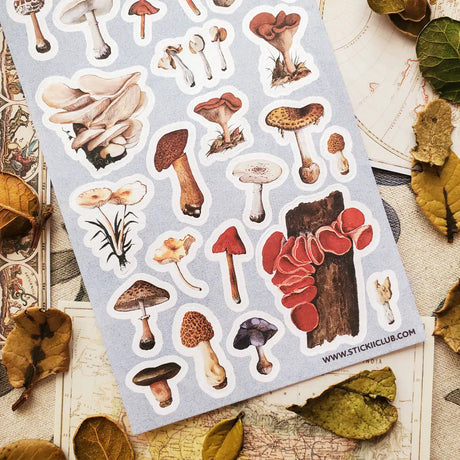 🍄🌿 Wander into a woodland where every fallen log, mossy hollow, and shaded forest floor hides a tiny treasure. From oyster clusters and scarlet caps to intricate morels and velvety violets, this vintage-inspired set celebrates mushrooms as a lovely gathering of curious specimens for anyone enchanted by the wild, mysterious world of the forest floor.

One sticker sheet is included.
Top Coating: None
Adhesive Layer: Paper
Backing Layer: Clear PET
Size: 6.69"x3.54"
Weight-0.03oz