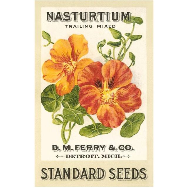 Elevate your inventory with this classic 3.5" x 5.5" postcard featuring an image from our Gardening collection titled Nasturtium Seed Packet.