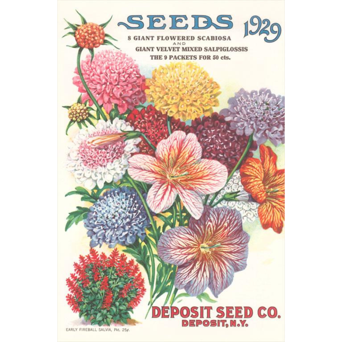 Elevate your inventory with this classic 3.5" x 5.5" postcard featuring an image from our Gardening collection titled Seed Catalogue with Flower Assortment.