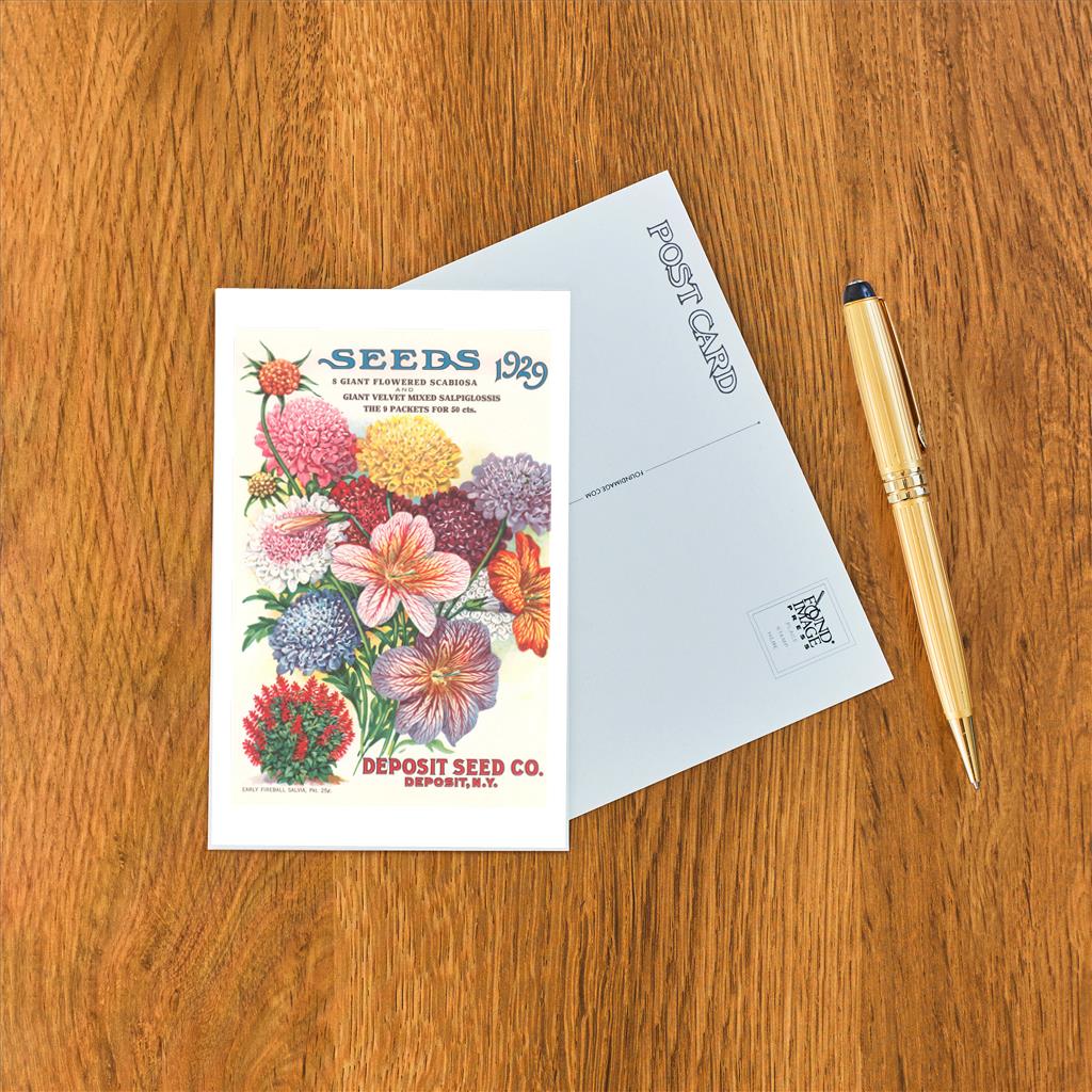 Elevate your inventory with this classic 3.5" x 5.5" postcard featuring an image from our Gardening collection titled Seed Catalogue with Flower Assortment.