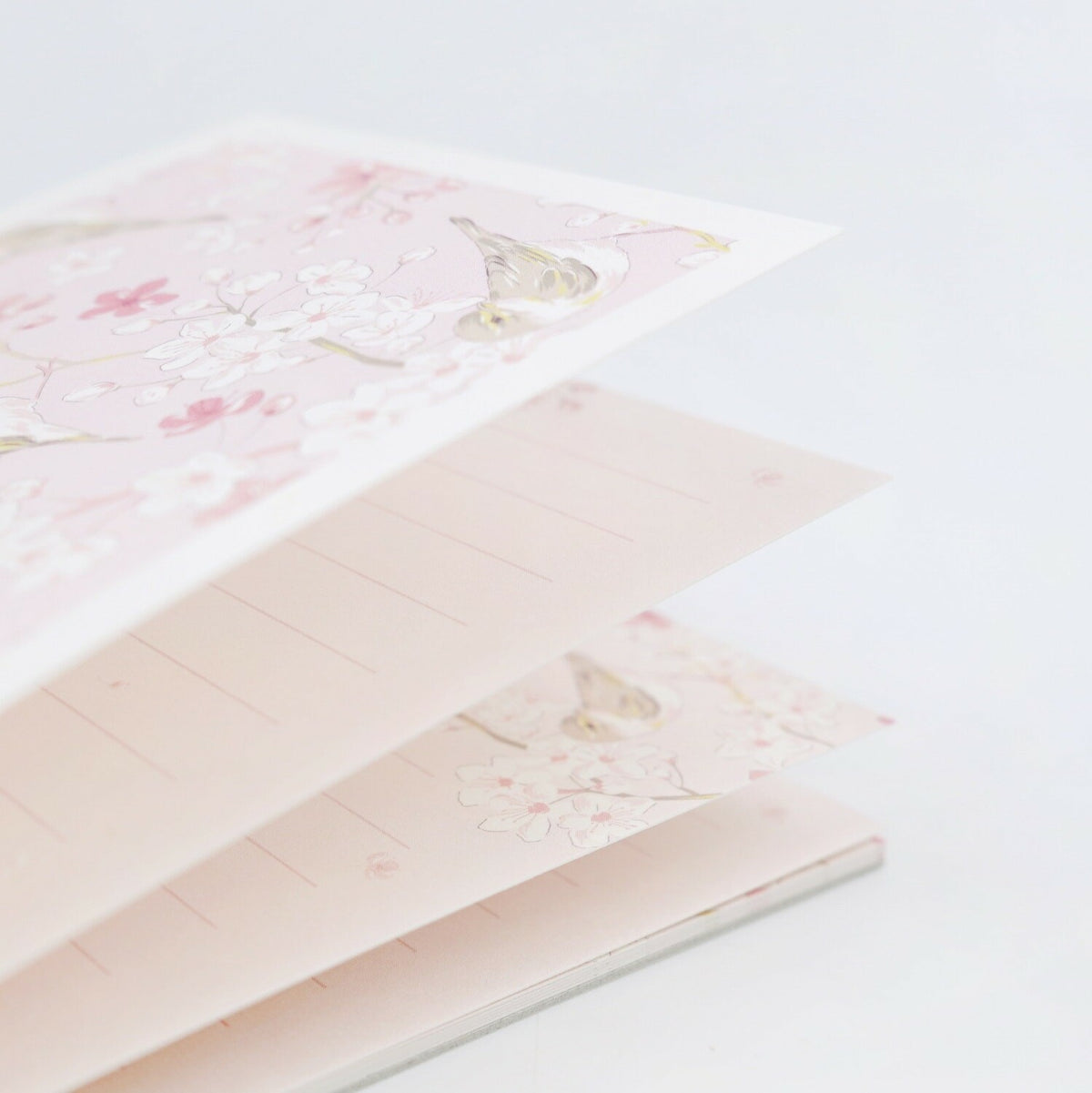 FRONTIA - Sakura & Songbirds Postcards