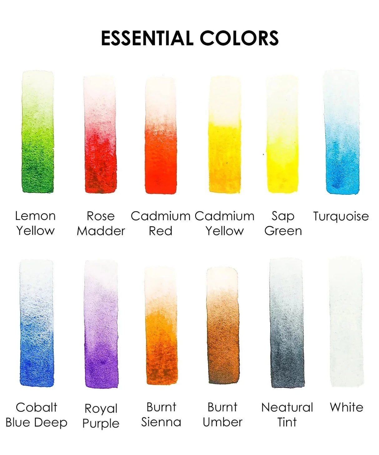 IDEAL SETTING FOR VERSATILE ARTISTS
Embark on a practical creative adventure with our meticulously curated Essential-Themed watercolor gift set. This collection features a watercolor pocket set boasting 12 essential hues, each chosen to reflect the versatility needed for all subjects—from still life to simple landscapes. Accompanied by an intricately illustrated 15-sheet watercolor coloring book, focused on daily essentials and core techniques, this ensemble invites you to explore the fundamentals of waterc