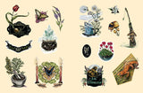 Green Witch's Sticker Book By Arin Murphy-Hiscock