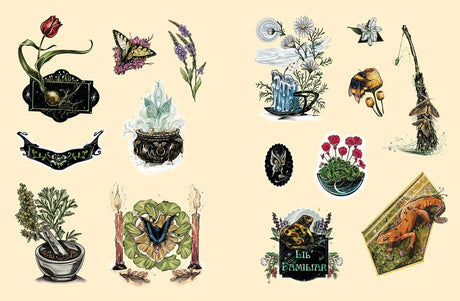 Green Witch's Sticker Book By Arin Murphy-Hiscock