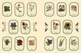 Green Witch's Sticker Book By Arin Murphy-Hiscock